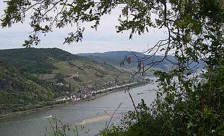 Blick auf den Rhein